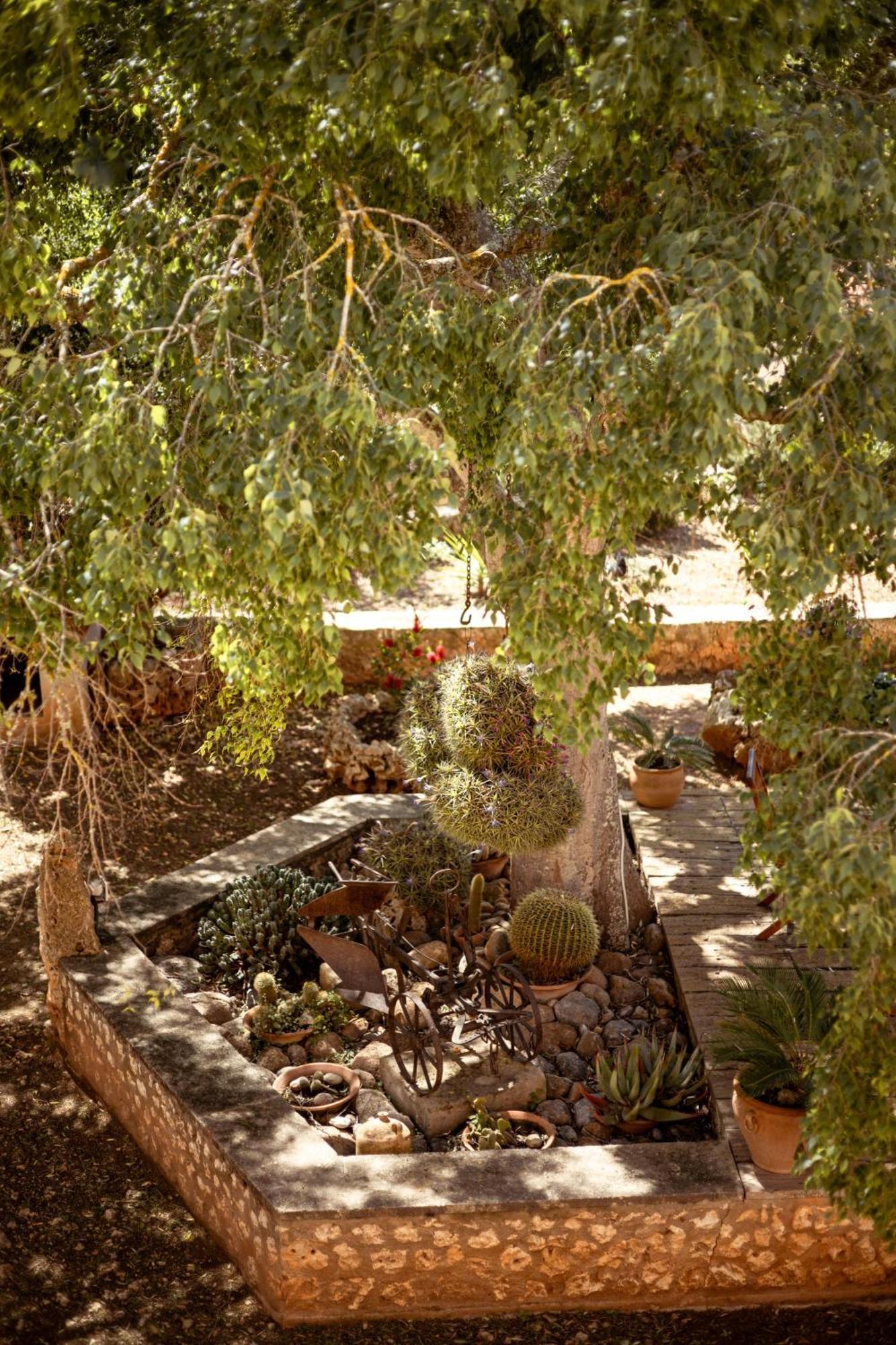 Finca Can Trius, Oase Ganz Nah An * Palma