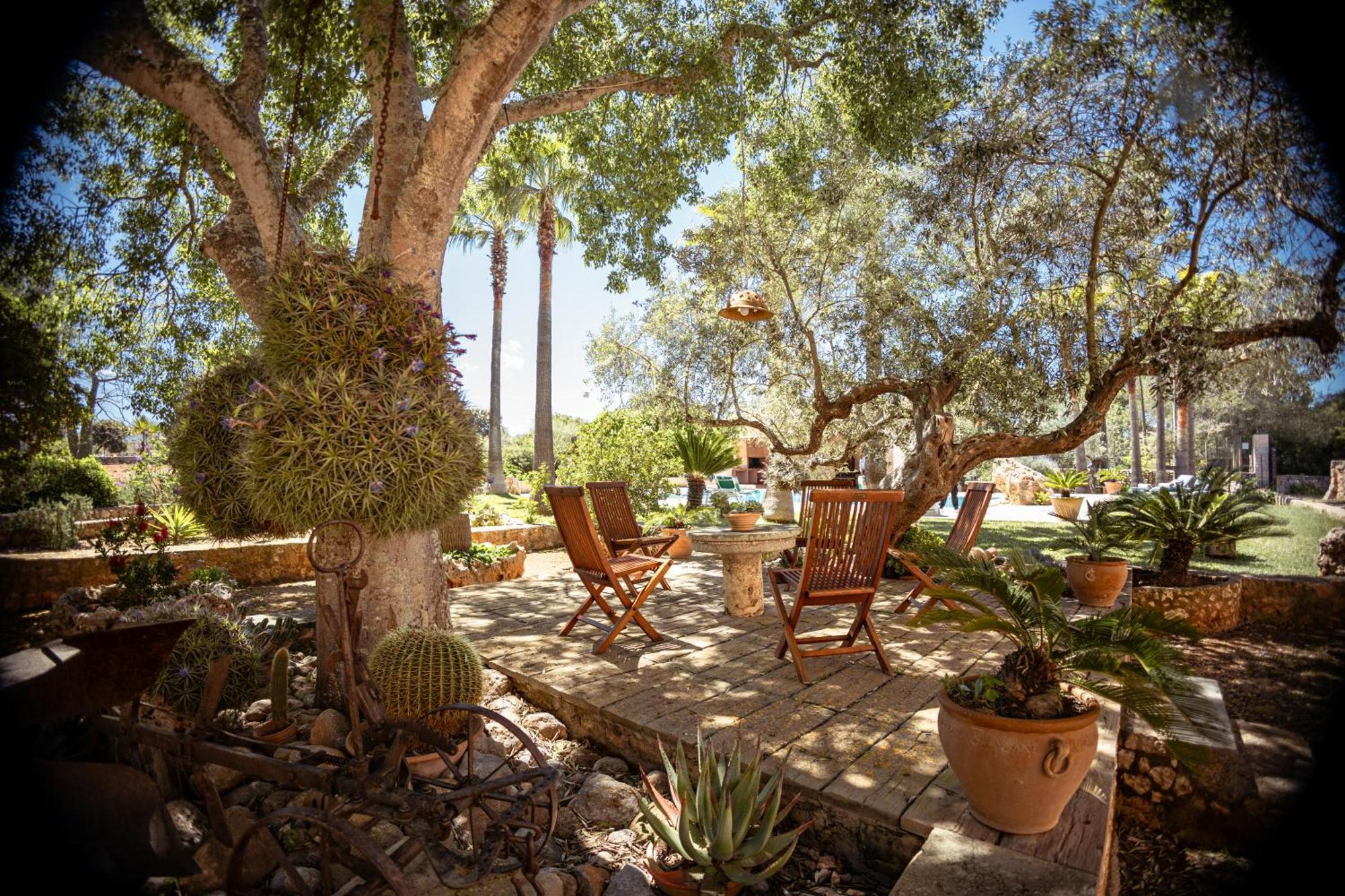 Villa Finca Can Trius, Oase Ganz Nah An Palma de Mallorca